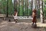 Миниатюра новости: Сказочным скульптурам парка «Древландия» нашли новый дом