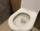 Узнал, что японцы садятся на унитаз лицом вперед. Был сильно удивлен, когда узнал почему