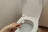 Миниатюра новости: Насыпаю горстку соли на унитаз и он засверкает - насколько реально такой лайфхак может сработать