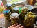 Самая простая закатка огурцов: Залила, закрыла и наслаждаюсь - хрустят не хуже свежих