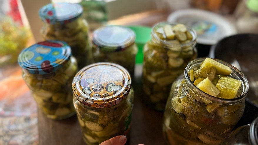Главная картинка новости: Самая простая закатка огурцов: Залила, закрыла и наслаждаюсь - хрустят не хуже свежих