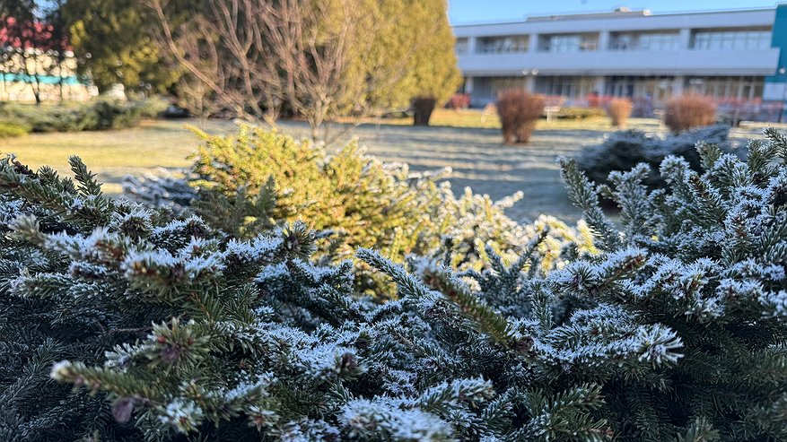 Главная картинка новости: Замерзнем раньше срока: какого числа заморозки ударят по России – уже в сентябре