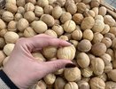 Теперь грецкие орехи не чищу - использую бутылку: легко как щелкать семечки - ядро целое, никаких крошек