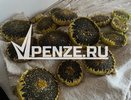 «Одни начали задыхаться, других рвало»: жители села Сумароково отравились пестицидами и гербицидами
