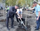 В Пензе взялись за активное озеленение города