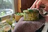 Миниатюра новости: Необычно и вкусно: простой рецепт огуречной икры на зиму - переросшие огурцы теперь не выкидываю