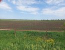 Аграрии Пензенской области собрали более 3 млн тонн зерновых и зернобобовых культур