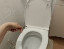 Почему нужно солить воду в унитазе. Запомните этот трюк на всю жизнь