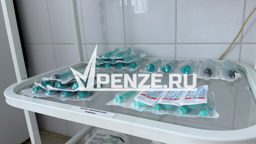 Главная картинка новости: Заболеваемость ОРВИ в Пензе выросла на 74%