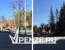 Кладбище сухих деревьев обнаружил пензенец у здания Железнодорожной администрации