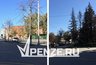 Миниатюра новости: Кладбище сухих деревьев обнаружил пензенец у здания Железнодорожной администрации