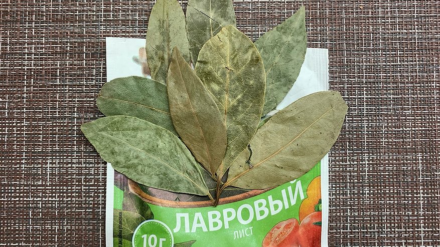 Главная картинка новости: С первыми заморозками кладу 2 листа лавра на батарею — и живу без бед: вот что происходит — вся семья замечает разницу