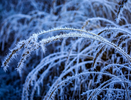 Зима вдарит морозами: Синоптики предупредили россиян о надвигающихся холодах