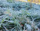 Зима наступит стремительно: синоптики рассказали, когда выпадет первый снег — теплых дней больше не будет