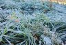 Миниатюра новости: Зима наступит стремительно: синоптики рассказали, когда выпадет первый снег — теплых дней больше не будет