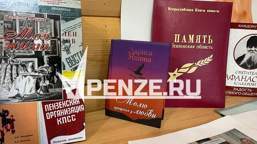 Главная картинка новости: На размещение библиотеки в Сурске выделят 8 млн рублей