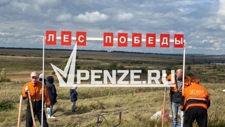 Главная картинка новости: В память о павших воинах на Куликовом поле в Заре высадят саженцы дуба