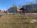 В Пензе в рамках общегородского субботника было высажено более 200 растений