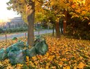 В Пензе подходит к концу осенний месячник по благоустройству