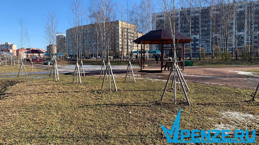 Главная картинка новости: В Пензе в рамках общегородского субботника было высажено более 200 растений