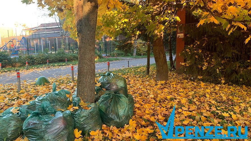 Главная картинка новости: В Пензе подходит к концу осенний месячник по благоустройству