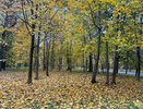 Сервисом «Выезд на охоту в Пензенской области» воспользовались более 5 000 человек