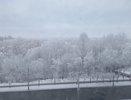 Синоптики рассказали, стоит ли ждать снежную зиму в этом году