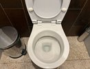 Заливаю в слив 1 стакан — и засор уносит со свистом: повторяю так 10 лет — никакой возни с вантузом
