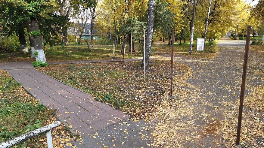 Главная картинка новости: Огородили красной лентой и отдали в частные руки: сквер Дзержинского - все!