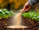 Земля станет как после тонны навоза: раскидайте это удобрение в октябре и весной удивитесь результату