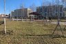 Миниатюра новости: В Шемышейском районе в рамках экологической акции высадили более 100 деревьев