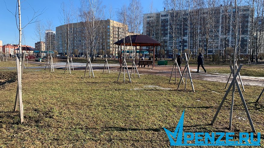 Главная картинка новости: В Шемышейском районе в рамках экологической акции высадили более 100 деревьев