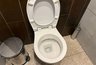 Миниатюра новости: Почему нельзя оставлять открытой крышку унитаза - запомните это раз и на всю жизнь