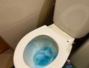 Уходя из дома, обязательно закидываю чайный пакетик в унитаз - полезный совет знакомой горничной