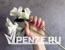 «Дресс-код без длинного маникюра и распущенных волос»: внешний вид медсестры из Сердобска шокировал пензячку