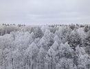 Холод придет резко и без стука: синоптик Вильфанд сказал, когда закончится теплая погода