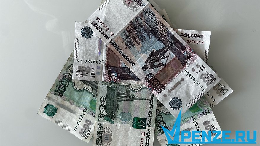 Главная картинка новости: Жительница Земетчинского района обокрала свою родственницу из-за бедственного положения
