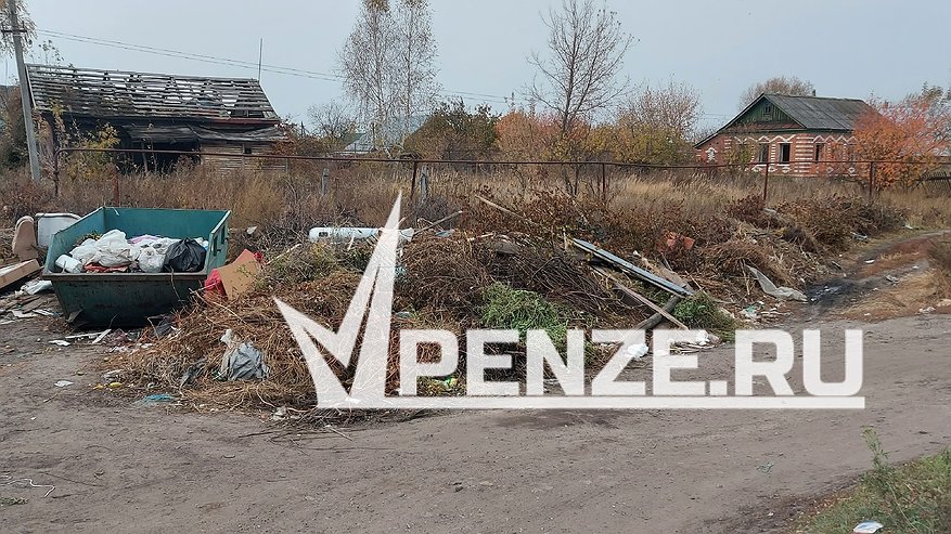 Главная картинка новости: «Переводят стрелки» друг на друга, а свалка лишь растет»: жители Сердобска просят навести порядок с отравляющим жизнь мусором