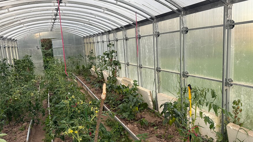 Главная картинка новости: Не повторяйте этих 5 ошибок на даче осенью — весной земля не оправится даже после подкормок