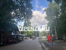 Олег Денисов: «При возведении торгового павильона на Западной Поляне ни одно дерево не пострадало»