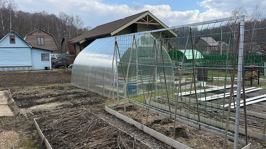 Главная картинка новости: В октябре провожу искореняющую обработку одним средством — за 700 рублей защищаю сад от вредителей на весь сезон