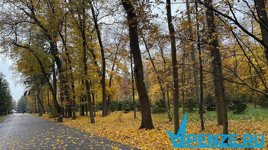 Главная картинка новости: Олег Денисов наградил пензенцев, активно участвовавших в обновлении сквера «Семейный»