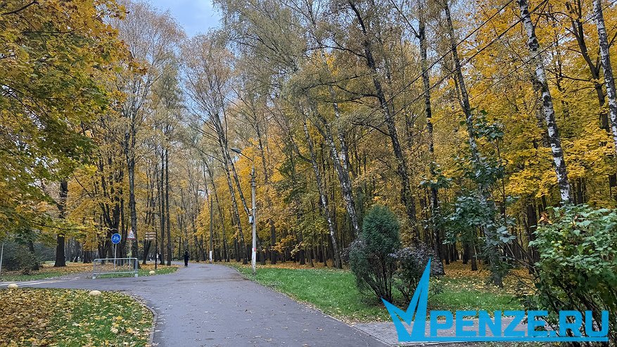 Главная картинка новости: В Пензе с 1 ноября проходит месячник по благоустройству