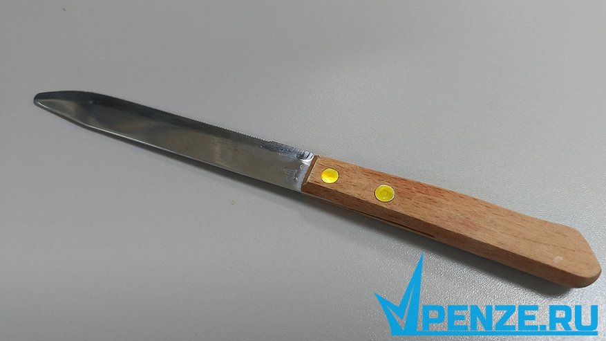 Главная картинка новости: Житель Белинского района ударил ножом жену, подозревавшую его в неверности