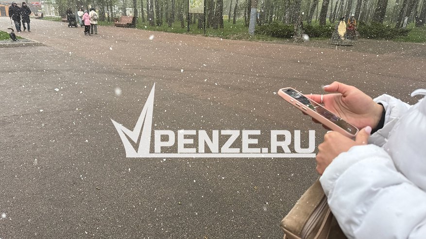 Главная картинка новости: Полицейские предупреждают о новой схеме мошенничества со звонком от «бухгалтера» о выплате