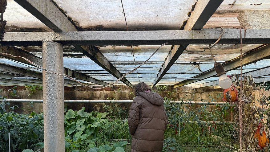 Главная картинка новости: Закрыл осеннюю теплицу по правилам. Эти 5 ошибок оставят вас без урожая в следующем году