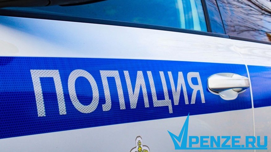 Главная картинка новости: В Нижнеломовском районе застолье бывших возлюбленных обернулось кражей денег