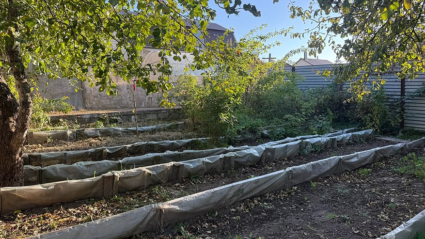 Главная картинка новости: Сделай это осенью на огороде и земля станет плодородной. Лучше навоза и всех удобрений