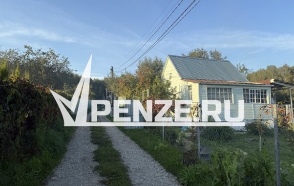 В области пропал 10-летний Матвей Тарасов из Кузнецка