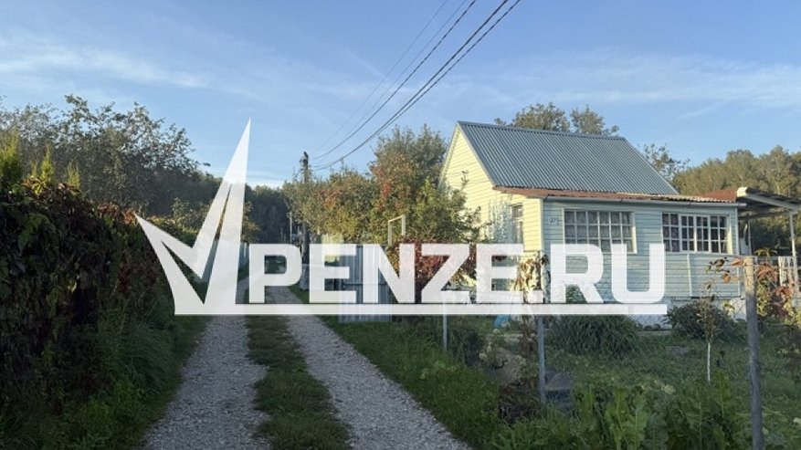 Главная картинка новости: В области пропал 10-летний Матвей Тарасов из Кузнецка